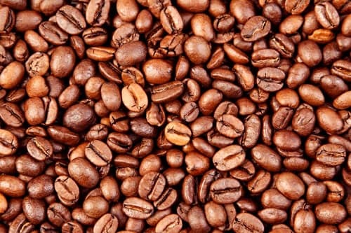 قیمت خرید قهوه روبوستا پی بی + فروش ویژه